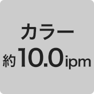 カラー 約10.0ipm
