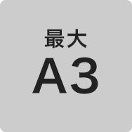 A3