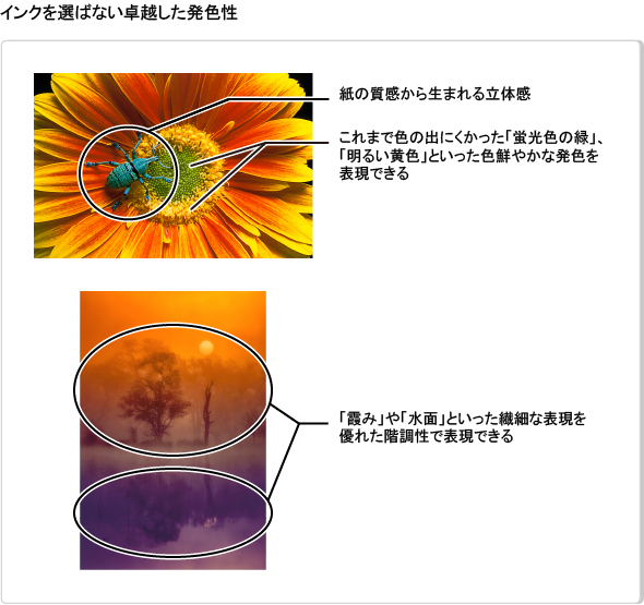 図:インクを選ばない卓越した発生色